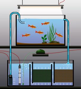 Ilustração de um sump localizado no móvel abaixo do aquário marinho
