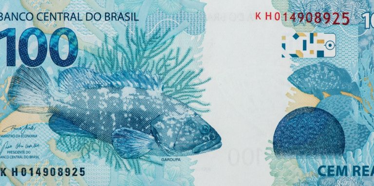 Descubra curiosidades sobre o peixe das notas de 100