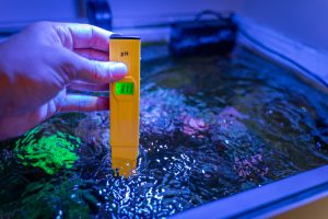 Teste de pH em aquário marinho